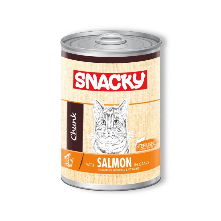 Snacky_Salmon_1
