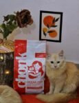 Chonk All Ages Cat Food Chicken-1.5KG